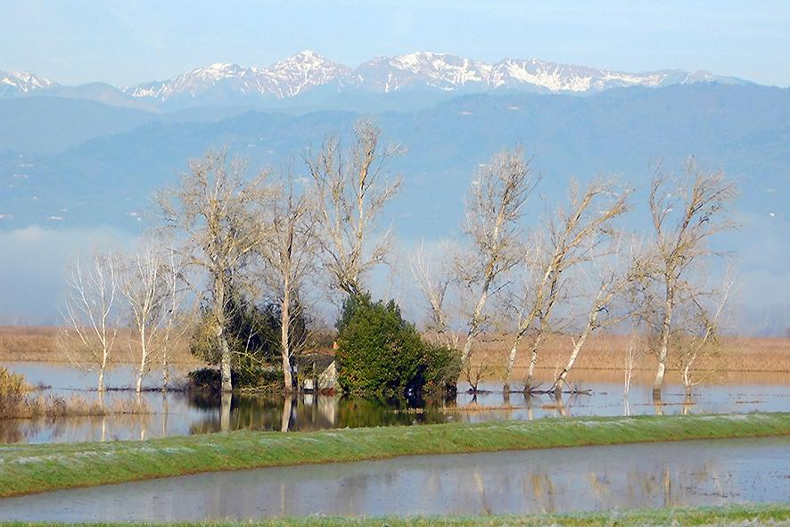 Padule di Fucecchio