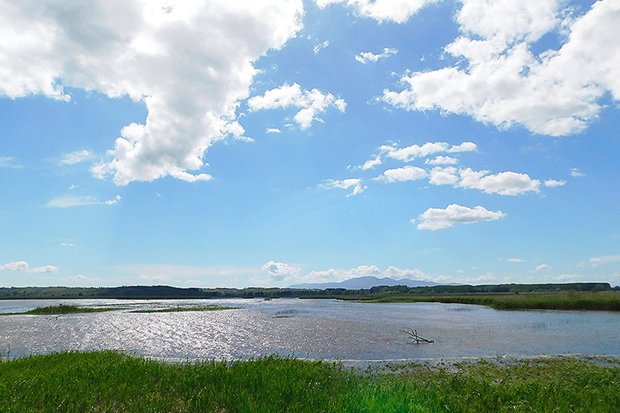 Le Morette (foto Enrico Zarri).