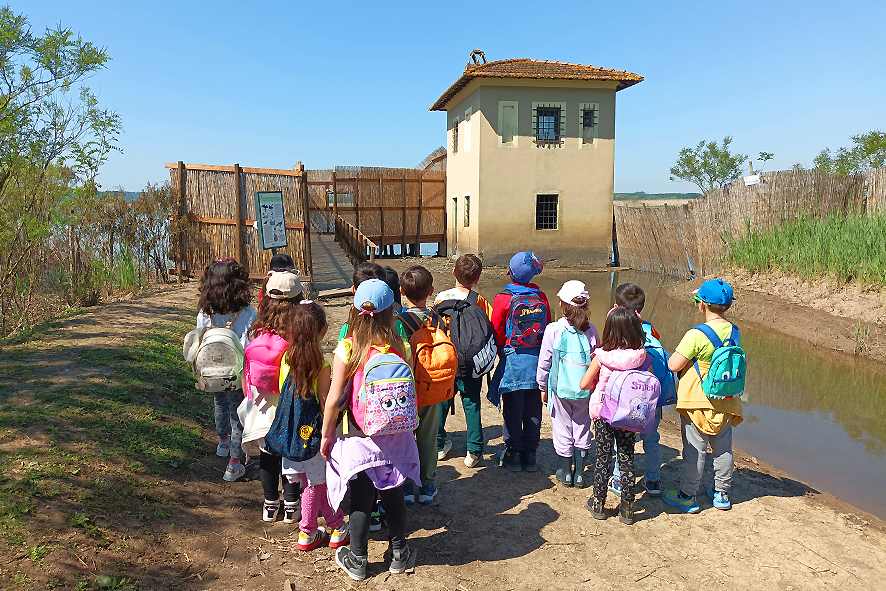Visita scolastica nel Padule di Fucecchio.