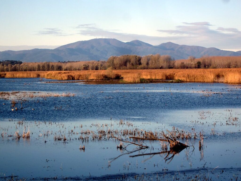 Area Le Morette (foto Enrico Zarri).