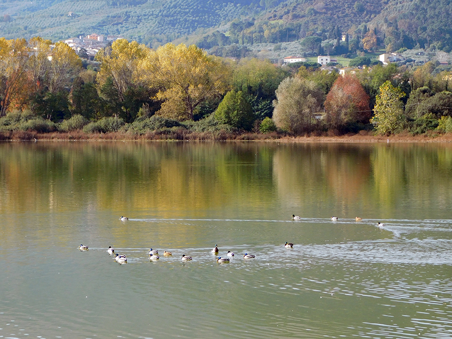Lago della Gherardesca (foto Enrico Zarri).
