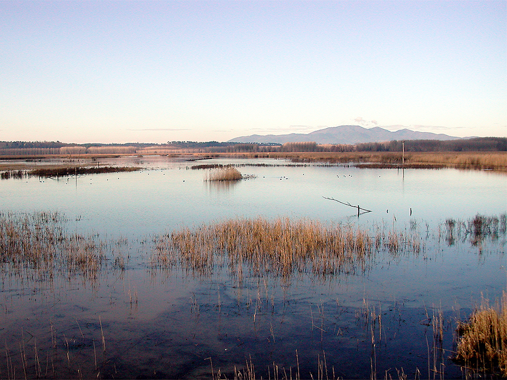Le Morette, chiari in inverno (foto Enrico Zarri).