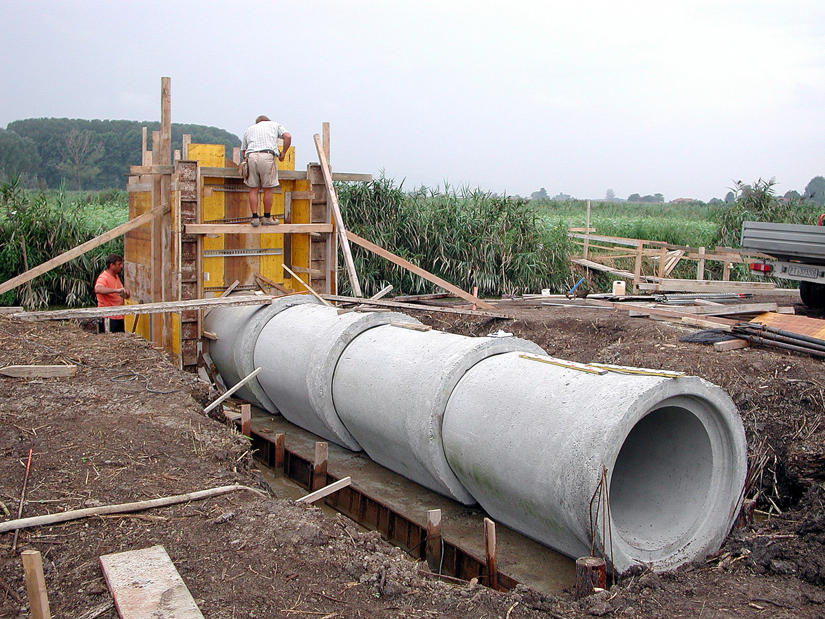 Nuova calla nell'Area Righetti (foto Enrico Zarri).